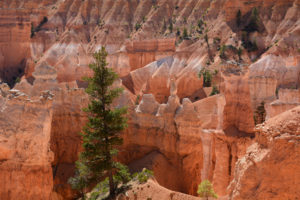 Photo aérienne du Parc National de Brice Canyon aux Etats-Unis, dans l'Utah. Les grès se découpent de façon particulièrement harmonieuse en fin de journée